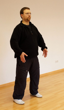 pingbu-ticha-zhuang-01-zhan-zhuang-qigong-daniel-roga-2014