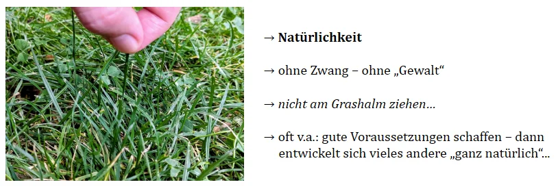 Natürlichkeit (ZiRan) (Qi Gong-Schlüsselpunkte)