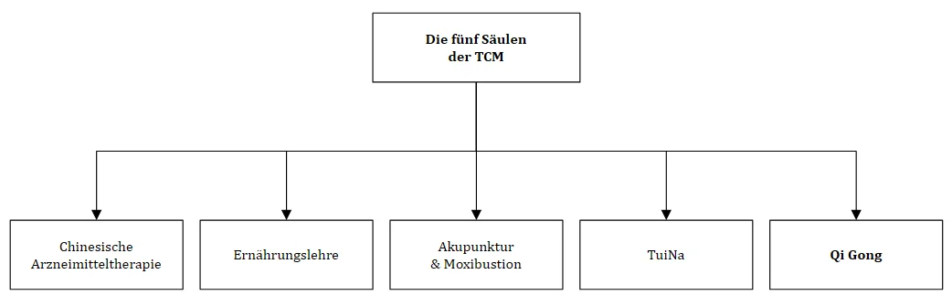 Qi Gong und TCM