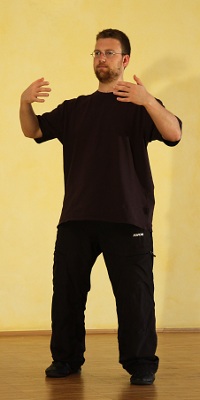 Zhan Zhuang Qigong - Daniel Roga 2009