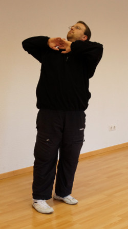 softening-exercises-qigong-03-daniel-roga-2014