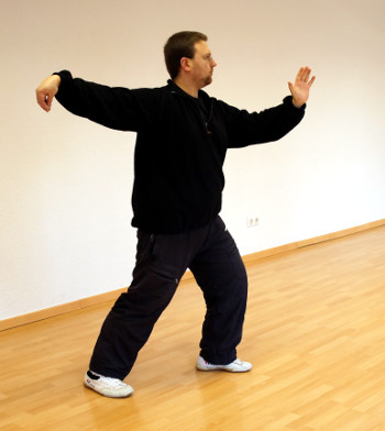 einfache-peitsche-taijiquan-lange-form-08-daniel-roga-2014