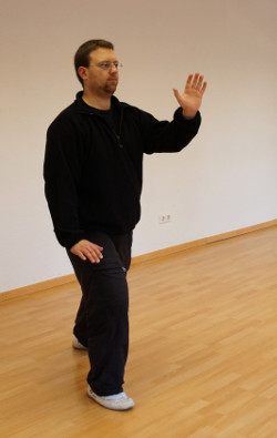 knie-streifen-push-taijiquan-lange-form-09-daniel-roga-2014