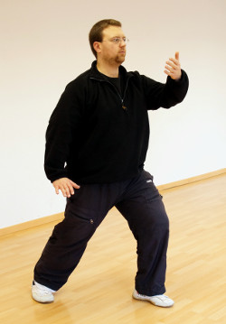 peng-taijiquan-lange-form-03-daniel-roga-2014