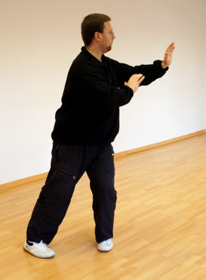 Taijiquan Tai Chi Chuan Qigong Yiquan In Neuss Daniel Roga