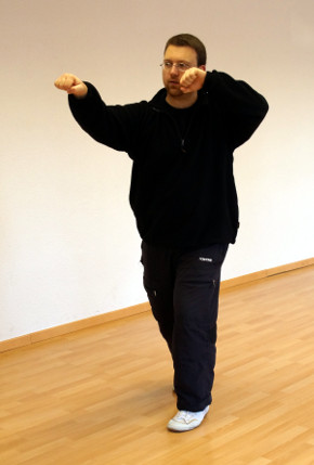 bu-zhi-de-zhi-quan-fali-yiquan-01-daniel-roga-2014