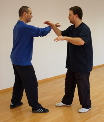 dan-tui-shou-push-hands-yiquan-02-daniel-roga-2014