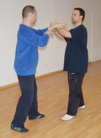 dan-tui-shou-push-hands-yiquan-03-daniel-roga-2014