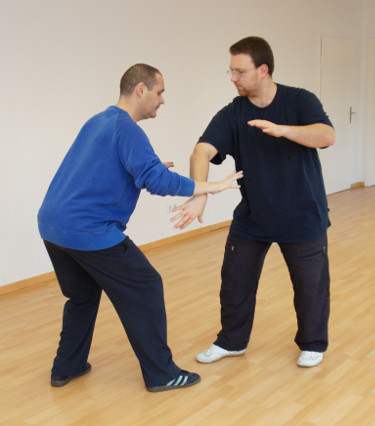 dan-tui-shou-push-hands-yiquan-04-daniel-roga-2014