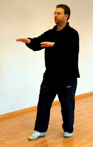 dingba-bu-fuan-zhuang-01-zhan-zhuang-yiquan-daniel-roga-2014