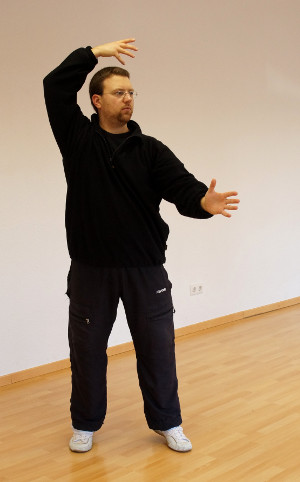 dingba-bu-zhengpi-shili-yiquan-01-daniel-roga-2014
