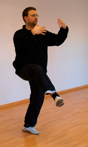 duli-zhuang-01-zhan-zhuang-yiquan-daniel-roga-2014