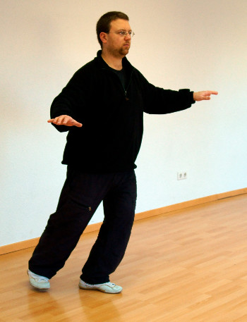 mocabu-fenshui-zhuang-01-yiquan-daniel-roga-2014